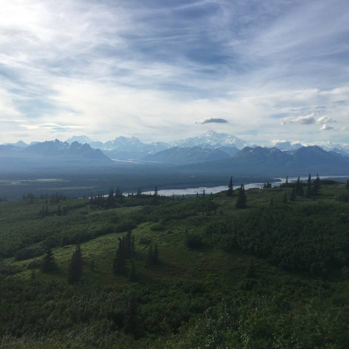 Near Original Trail up K'esugi Ken Curry Ridge Trail