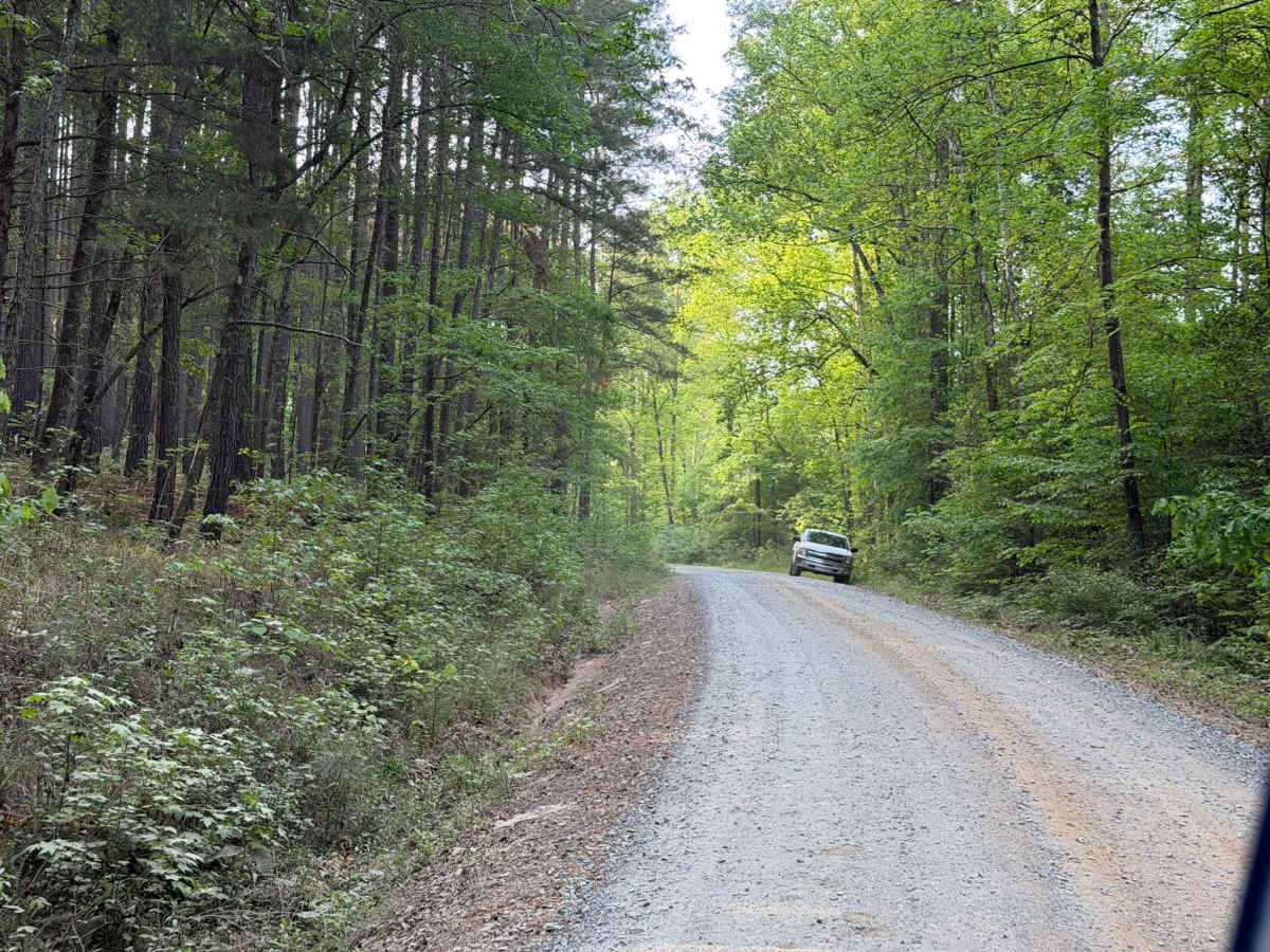McLeans Creek - FS 544 photo 6