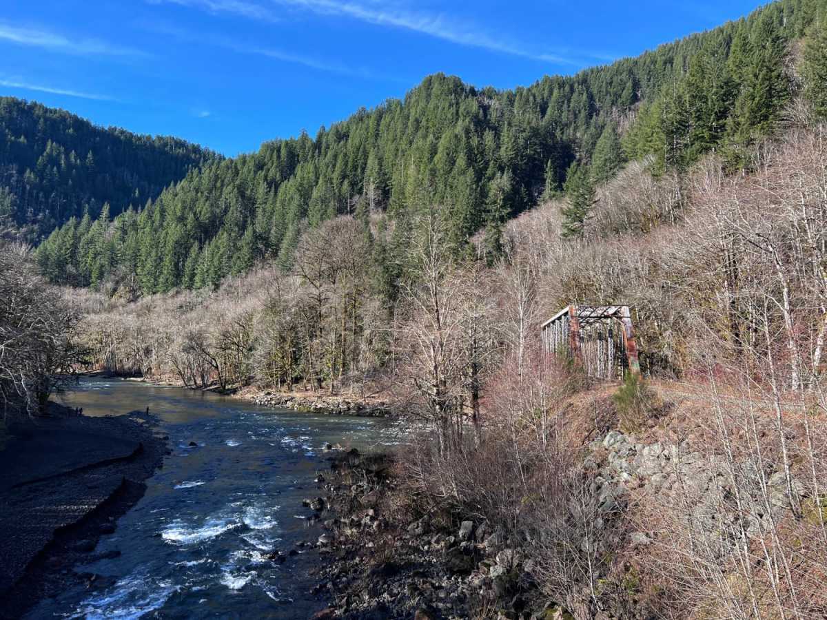 Lower Nehalem Road Beach Route photo 6