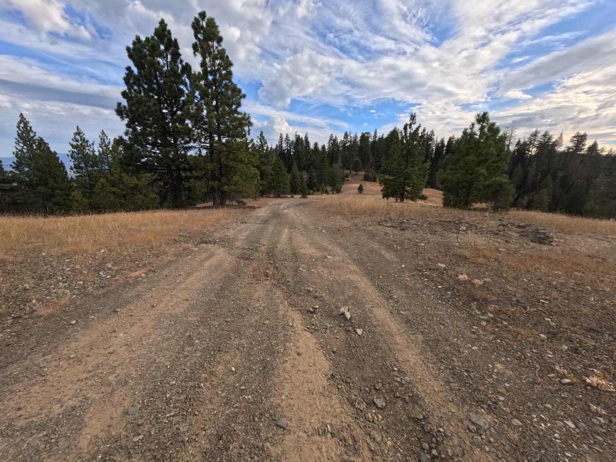 Goat ORV - FS 20N42 photo 5