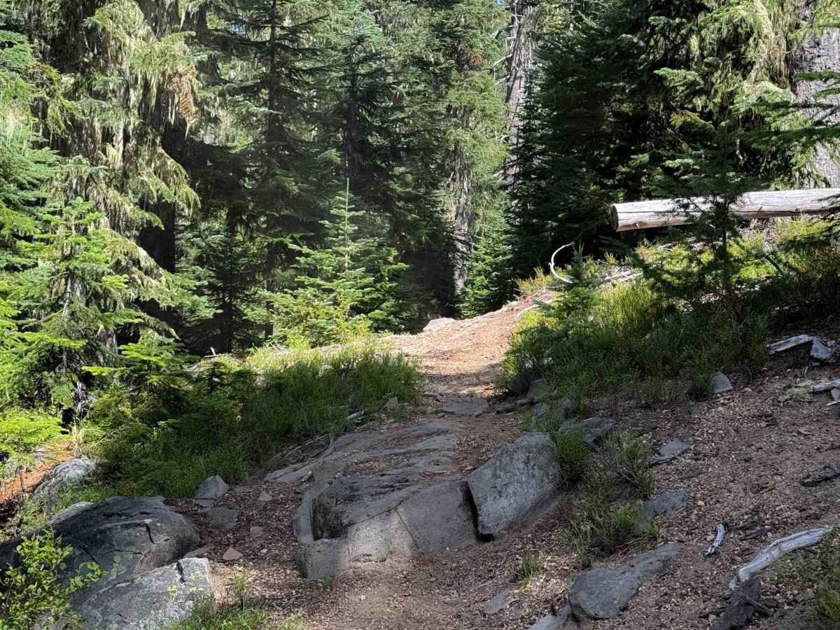 June Lake Trail  photo 2