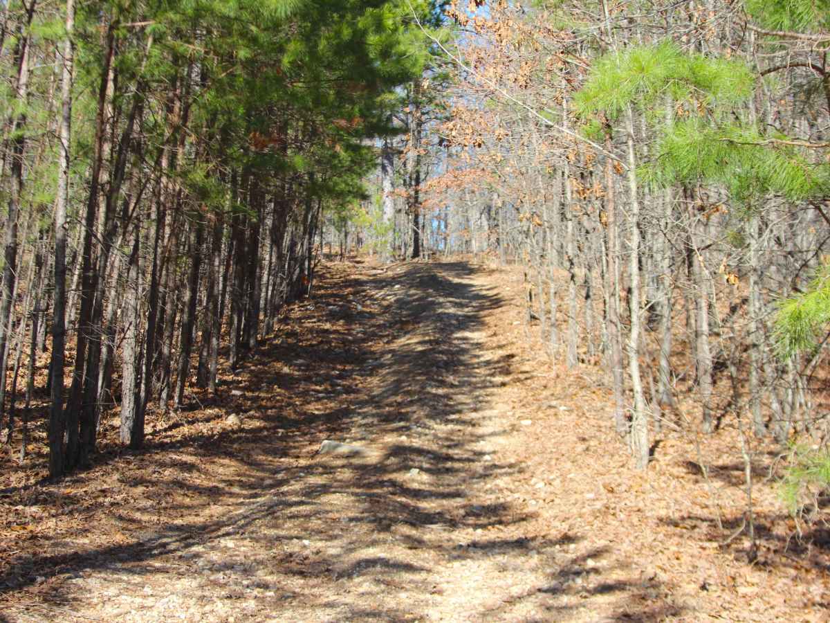 Kemlin Hollow - FS 2627 trail photo