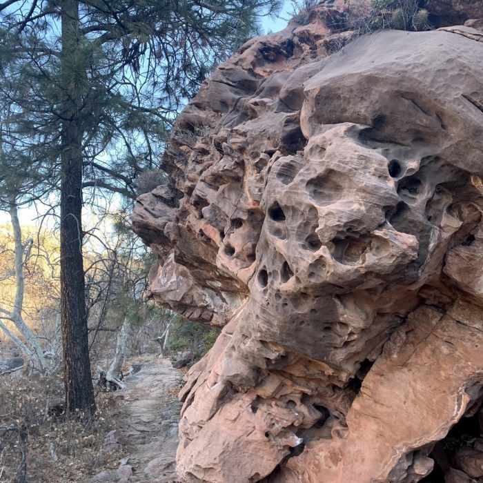 Rock formation on Huckaby Trail Near Huckaby