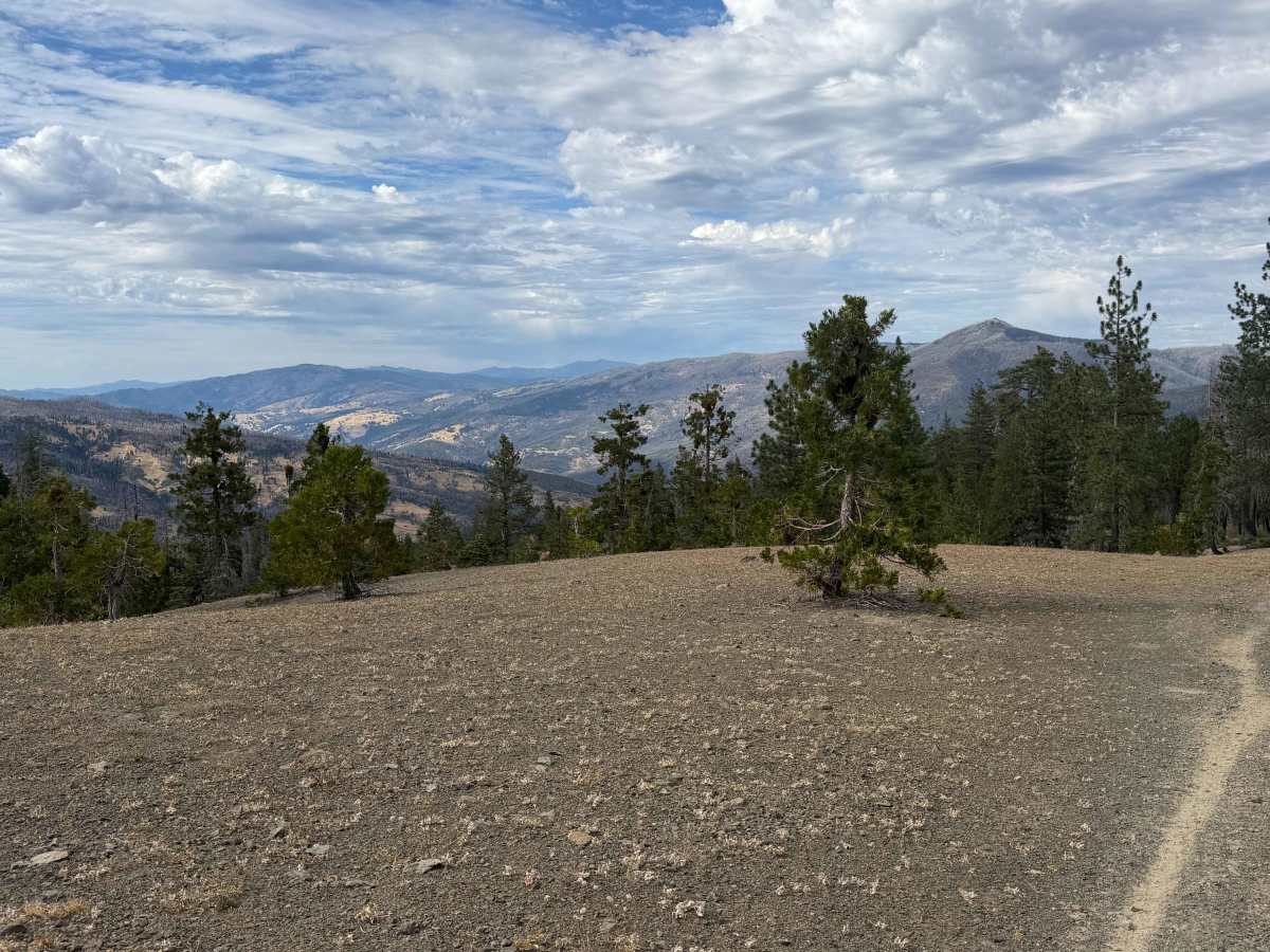 Buckhorn Ridge - FS 21N87 trail photo