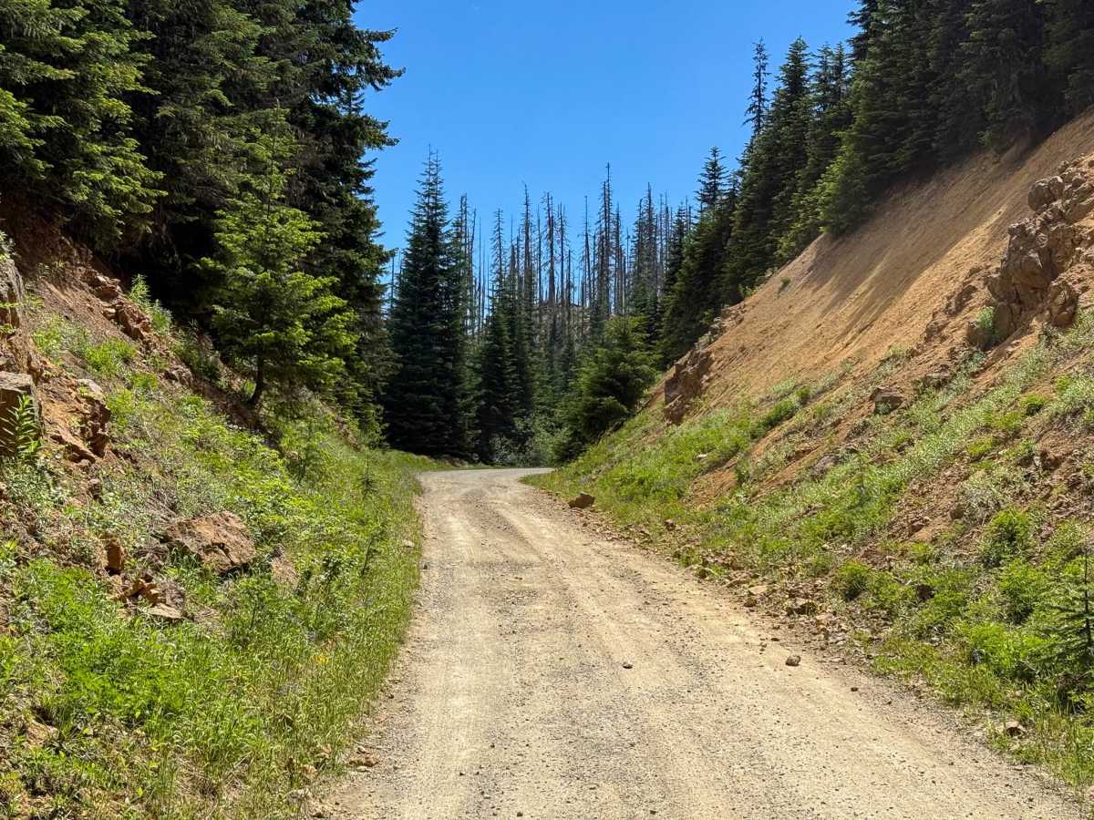 Dallas Ridge Road photo 3