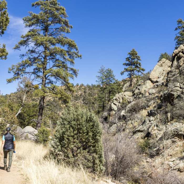 Near Granite Basin Loop Hike