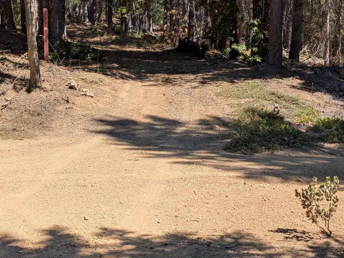 Tule Divide Road - FS 2N53 photo 5
