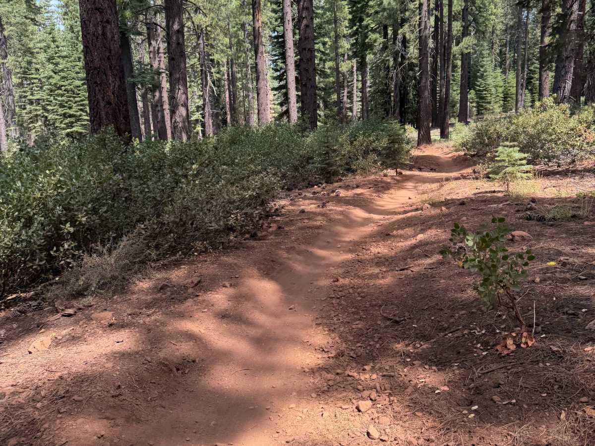 Happy Face (Downhill) photo 6