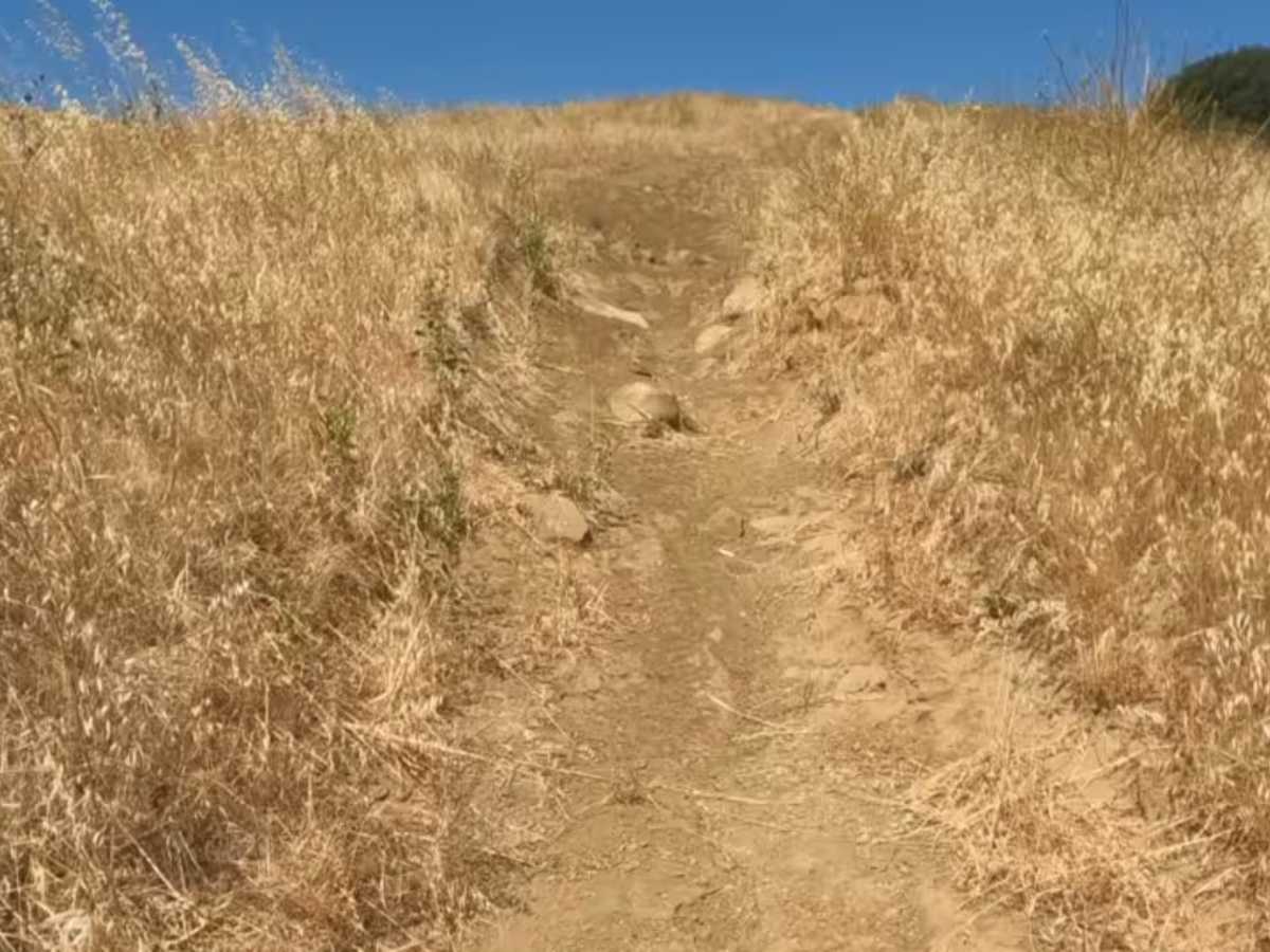 Carrol Climb photo 5