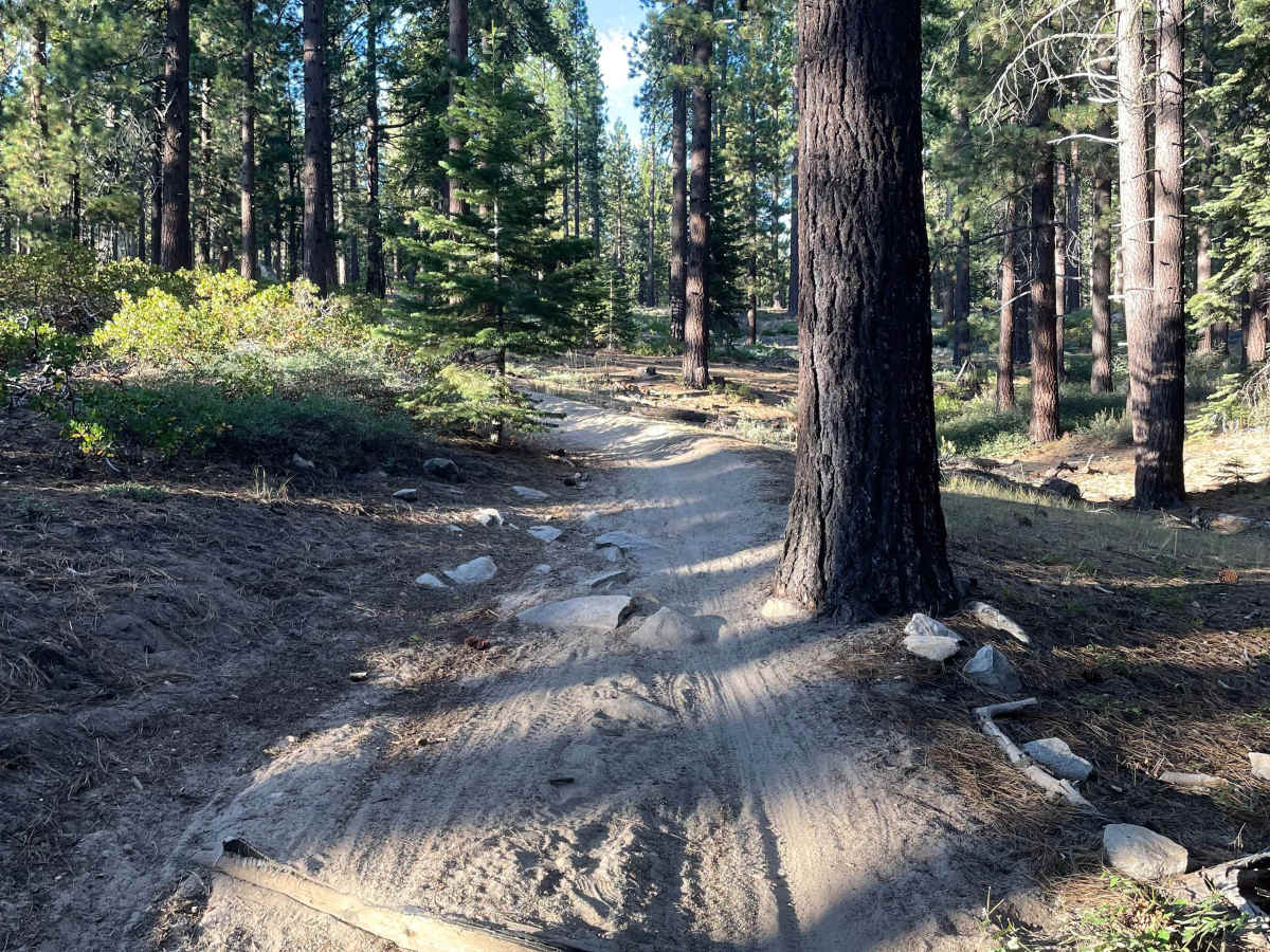 High Meadows Trail photo 6