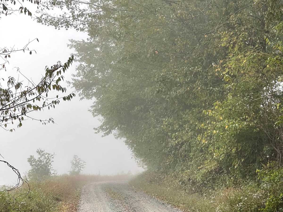 Long Ridge Road photo 2