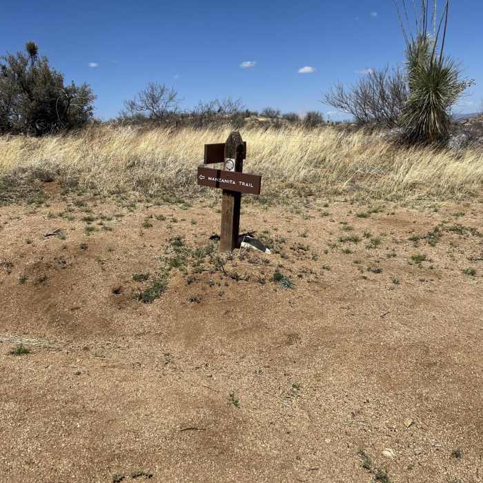 Near Arizona Trail Passage 13: Oracle State Park Near Arizona Trail Passage 13: Oracle State Park