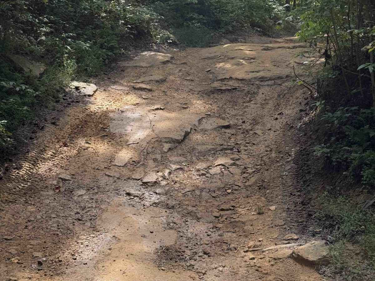 Meadow Branch Trail photo 2