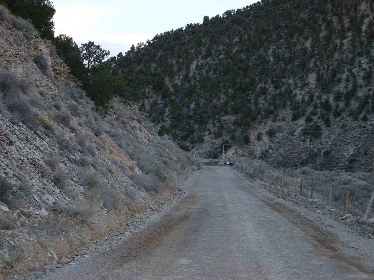 Strawberry River Road photo 6