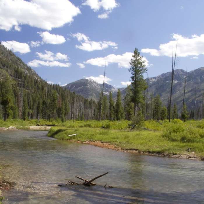Near South Fork of the Payette, Grandjean to Taylor Springs