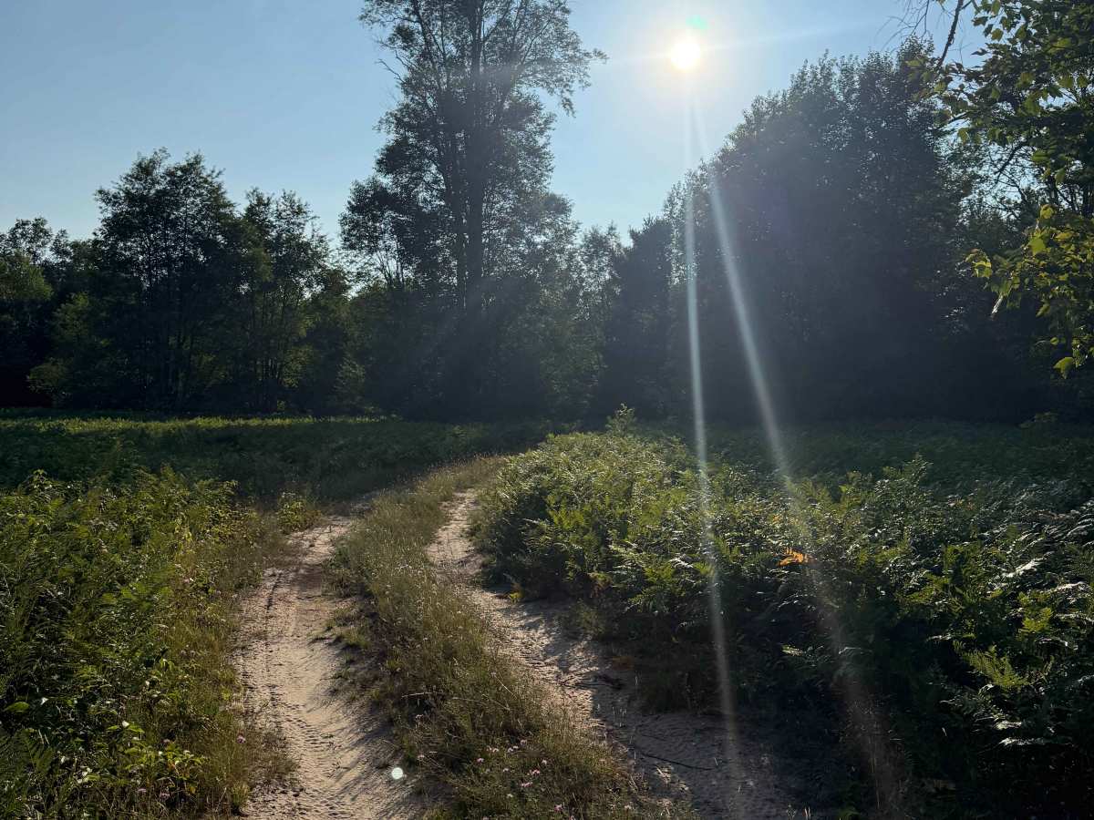 Cedar Road Loop Trail trail photo