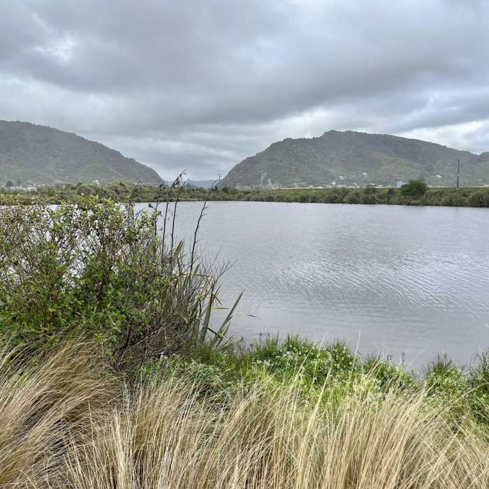 Near Cobden Lagoon Loop Near Cobden Lagoon Loop