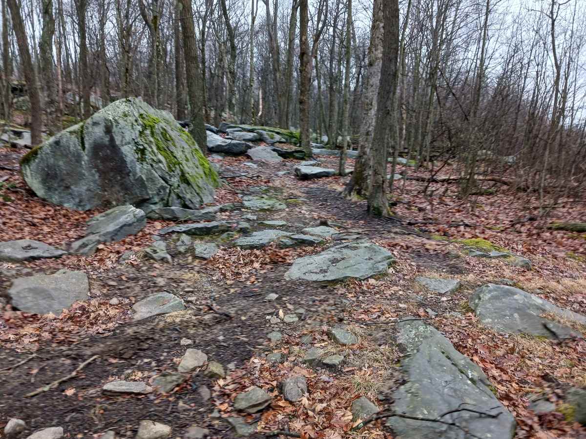 OHV 40 - Rock Run Recreation Area photo 3