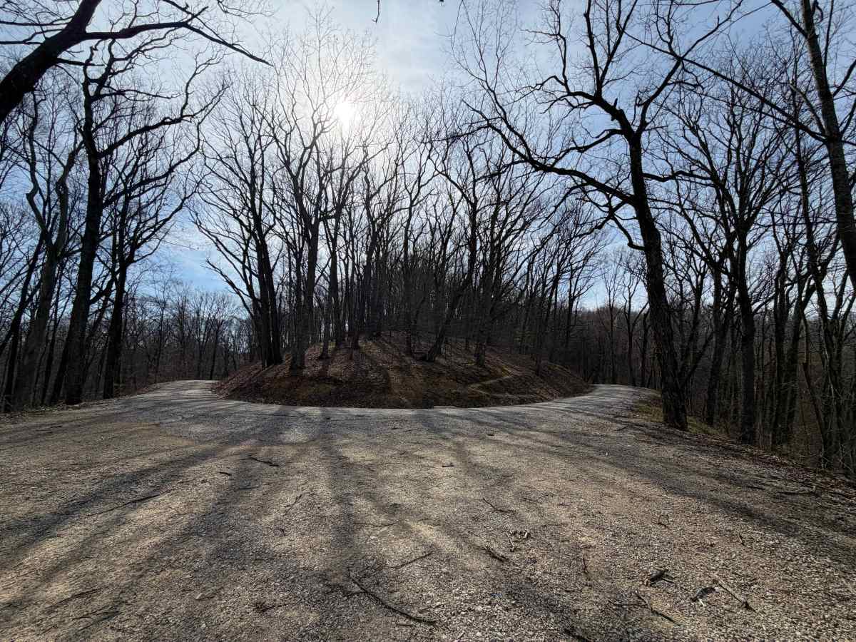 South Ridge Road photo 4