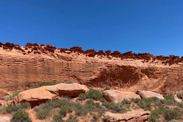 Gold Butte Loop