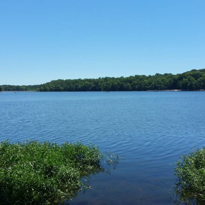 Near Burke Lake Trail