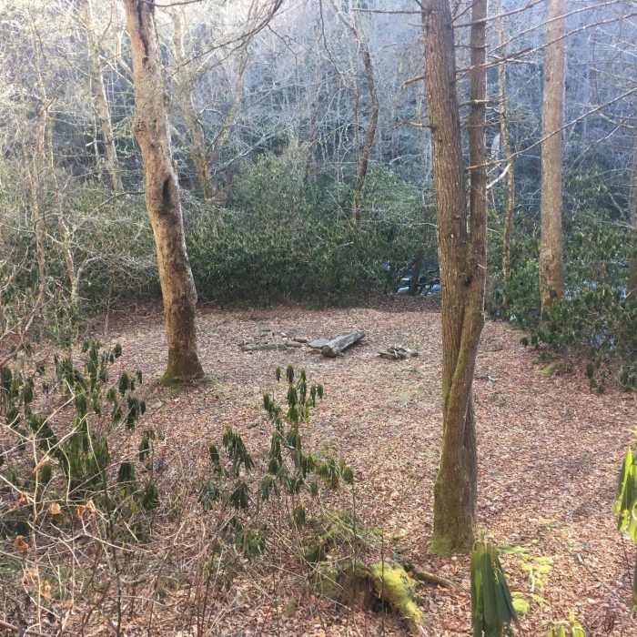 Near Snowbird Creek Trail #64 - Lower Section