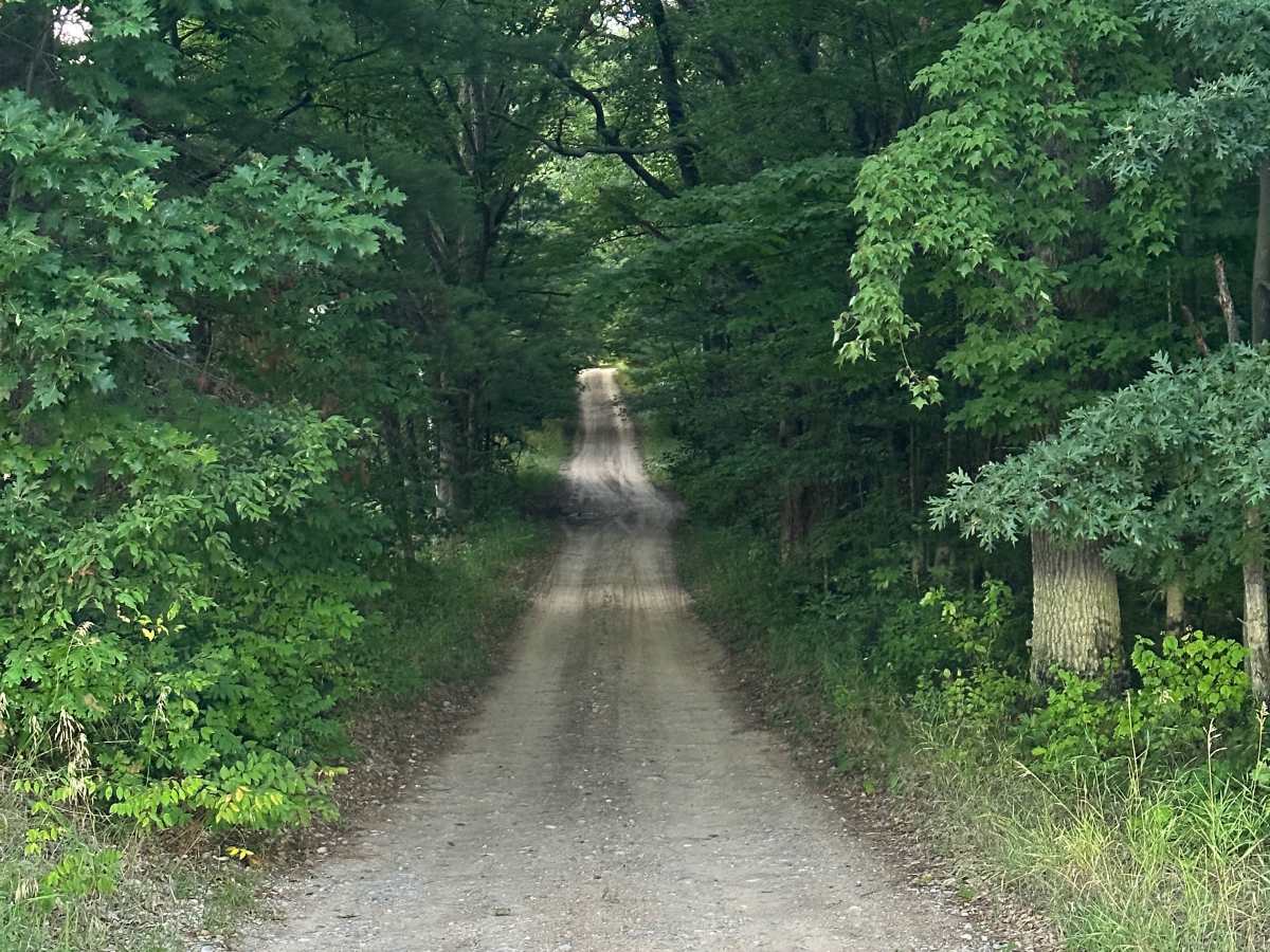McVety Road photo 4