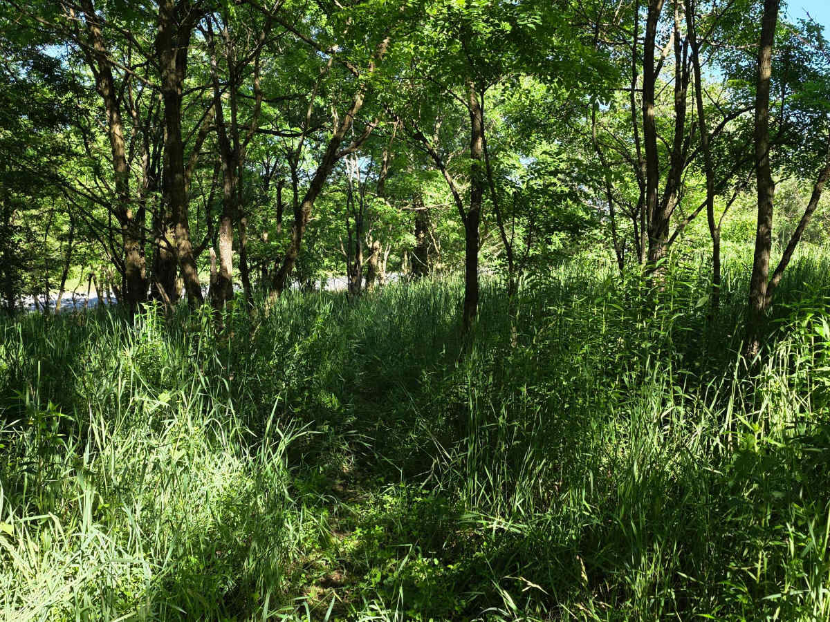 Single Track J2 photo 4