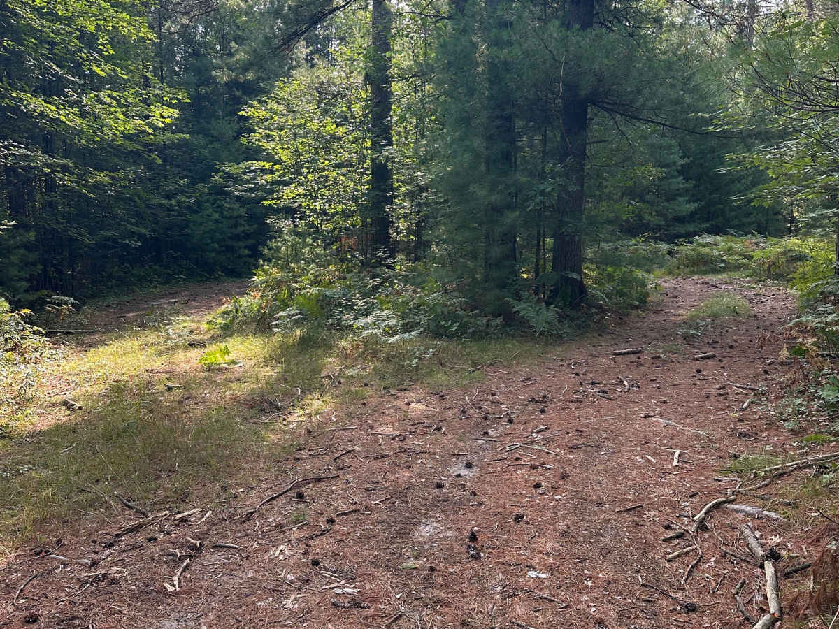 Cambridge Road trail photo