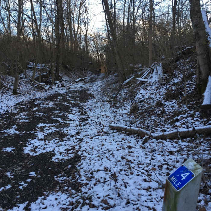 Mile Markers on the old roadbed Near Carter Park Outer Loop
