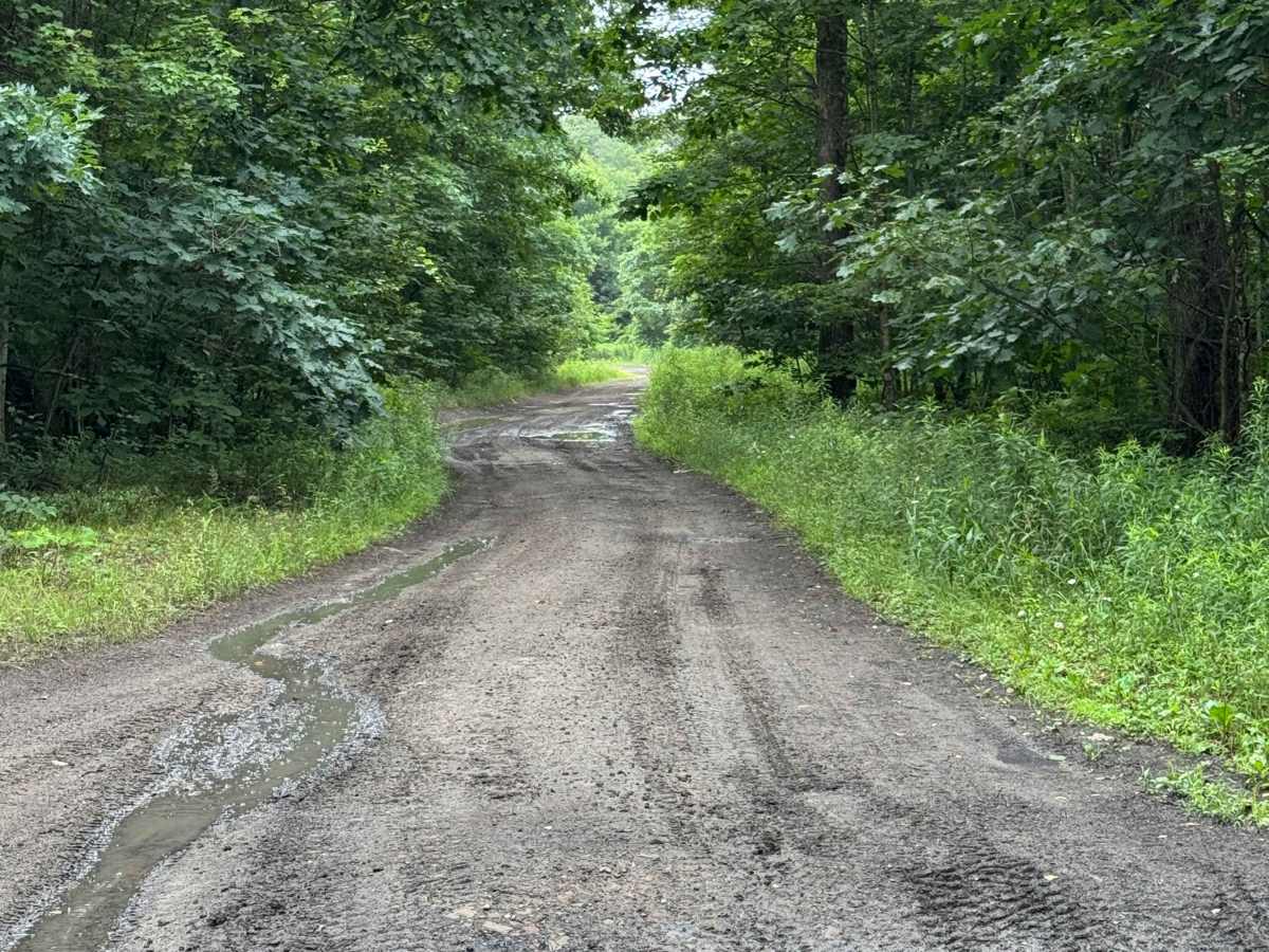 Trail 9 photo 2