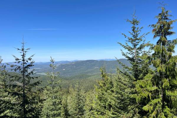 FS 3940 Cutoff Trail
