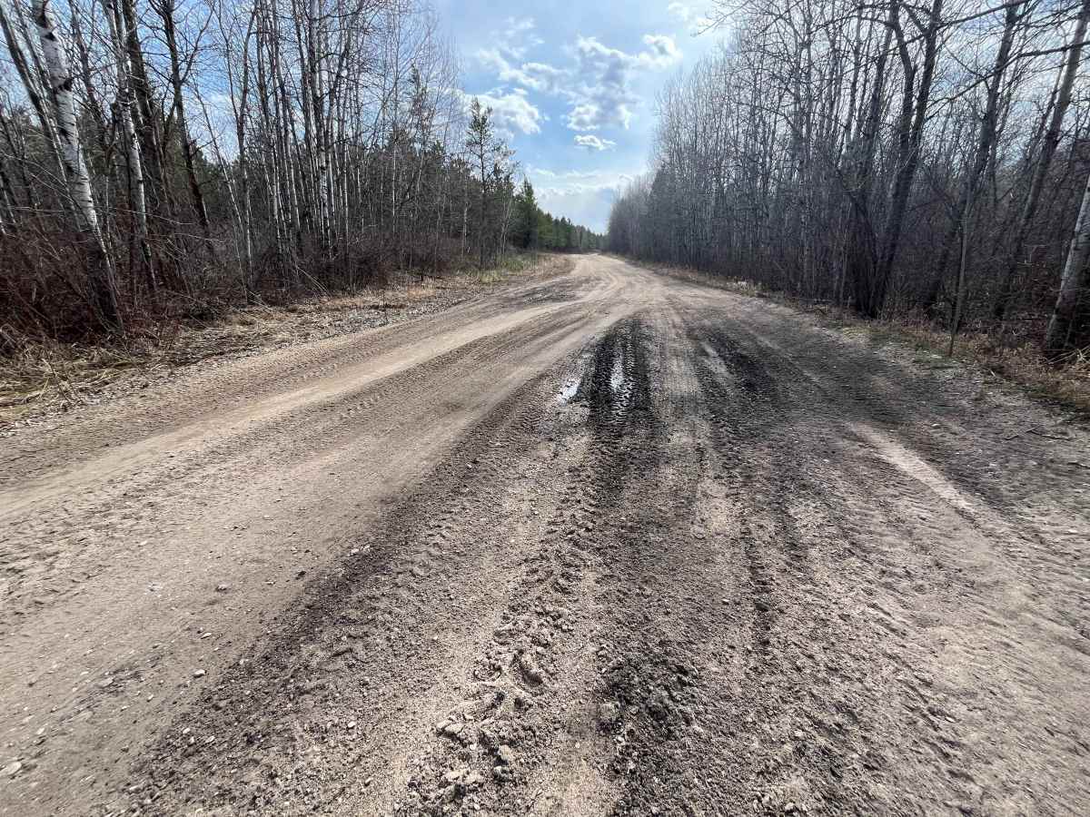 Sandilands Forestry Road 18 photo 3