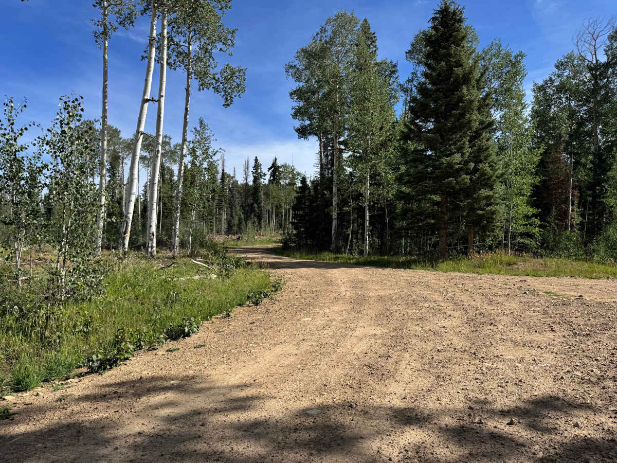 Pipe Creek Road photo 3