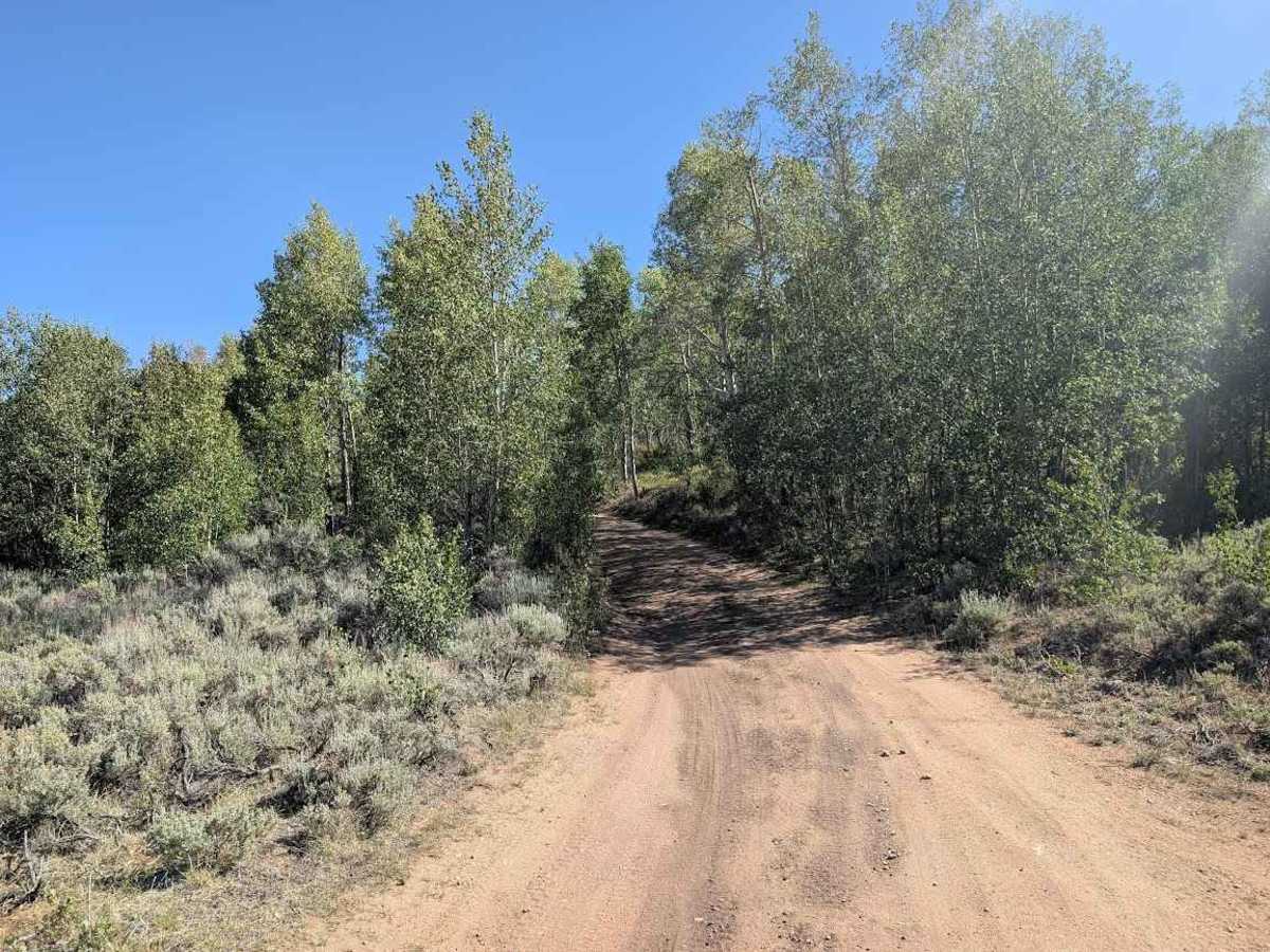 Flume Gulch Road photo 2