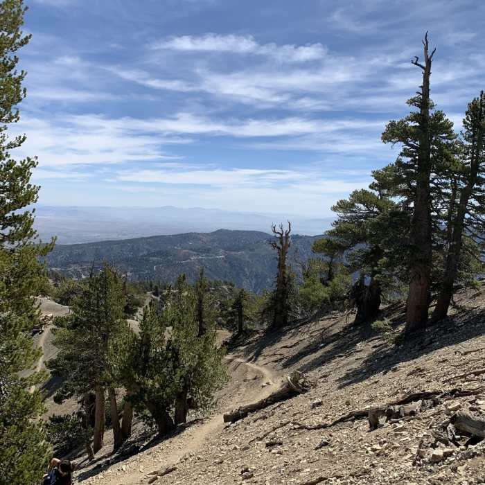 Near Dawson Saddle to Mount Baden-Powell