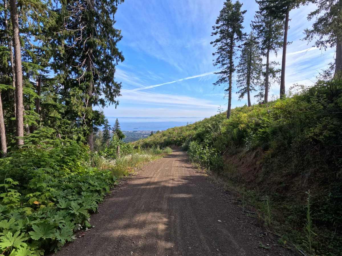 Walking Horse Trail photo 4