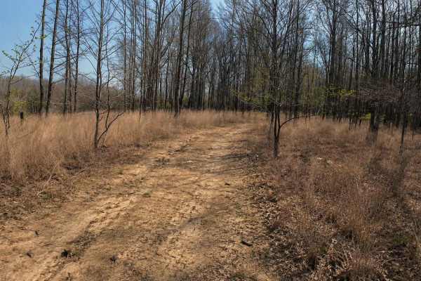 Ark Island Trail