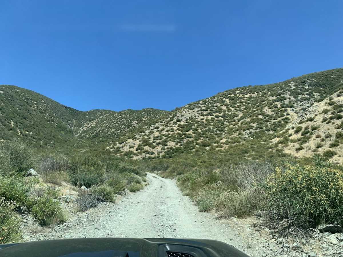 Sharpless Ranch trail photo