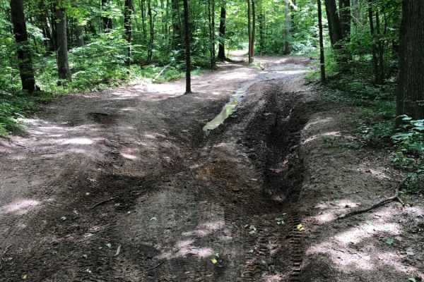 Croton To White Cloud