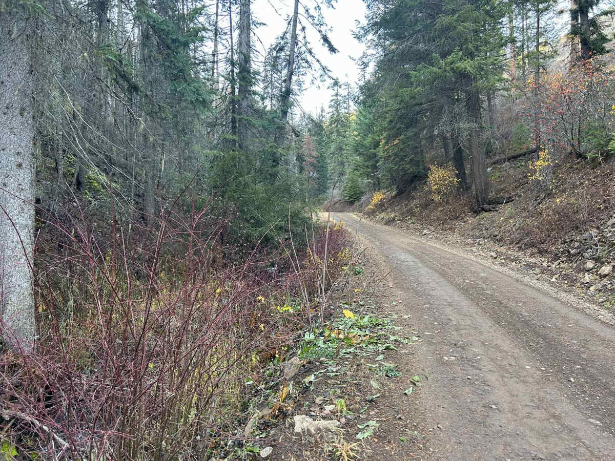 Eagle Creek - FS 35001 photo 5