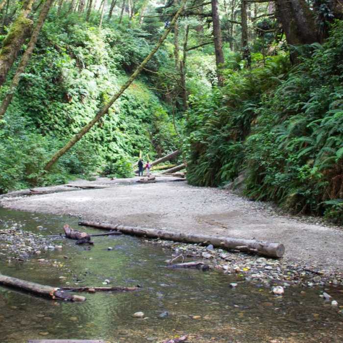 Near Fern Canyon