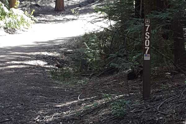 Fish Creek West - FS 7S007