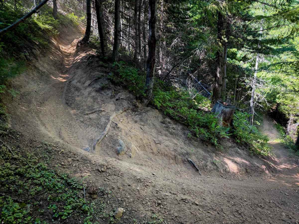 Cub Creek - FS 943A  photo 2