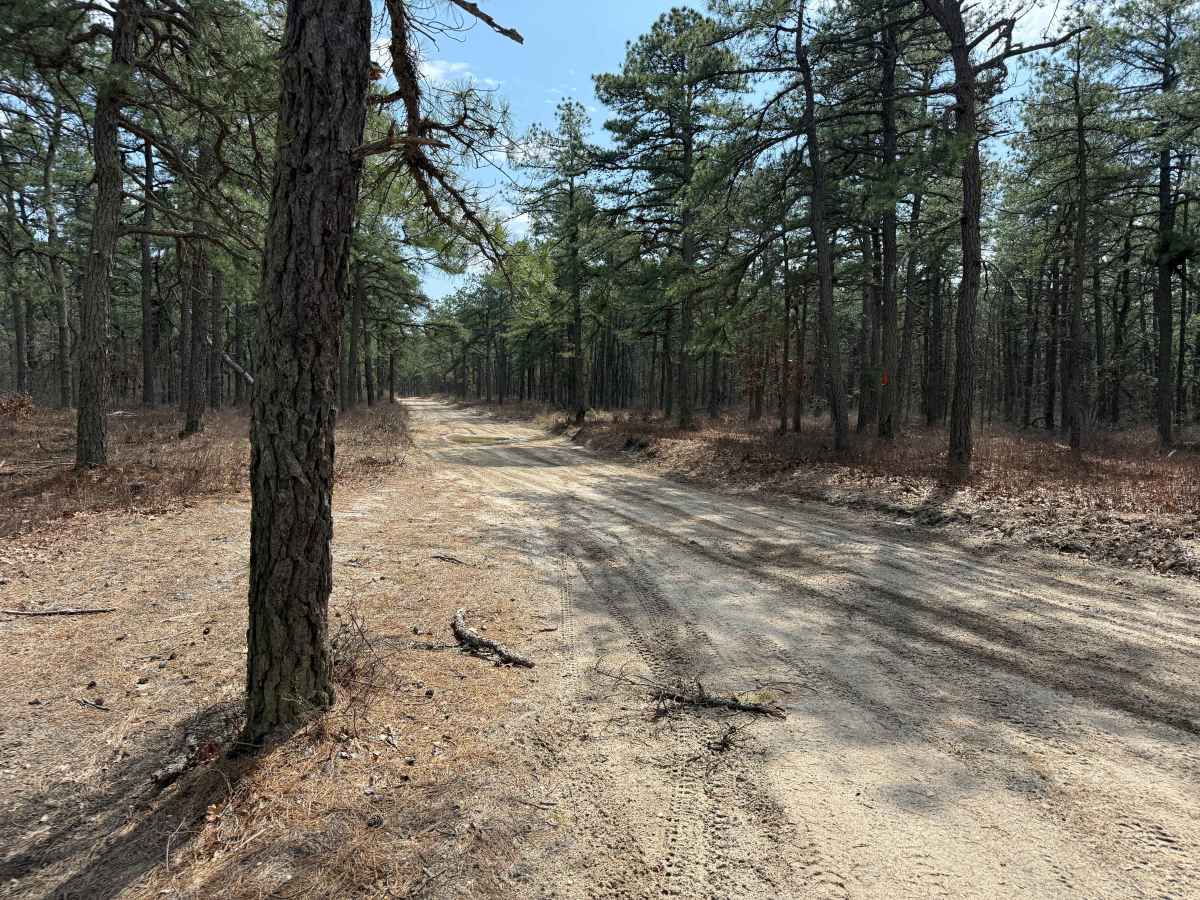 Jones Road Trail trail photo