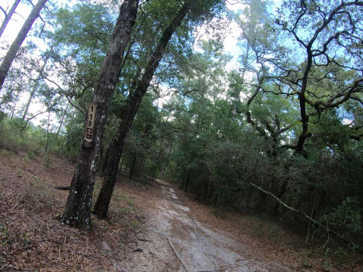 FS 11B trail photo