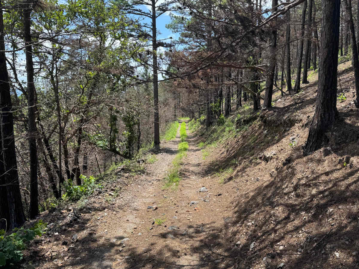 Gaston Mountain photo 3