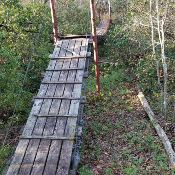 Near Cumberland Mountain State Park Loop