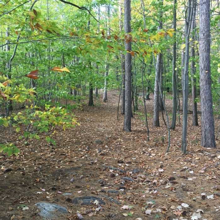 On the turnoff from Devil's Den Road to the summit on Devil's Den Mountain. Near Devil's Den Mountain