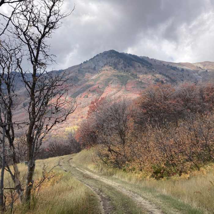Near Narrow Canyon